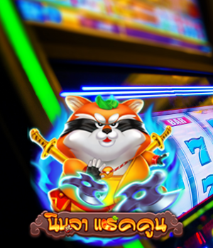 Ninja Raccoon